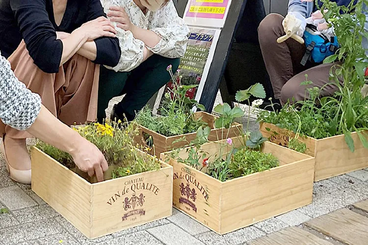 フラワーロスへの取り組み「フリープランツ」