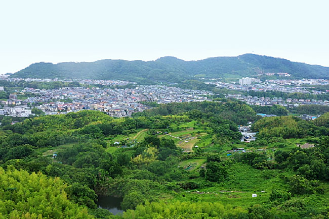 多井畑里山活用の取り組み